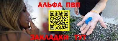 индика Гай