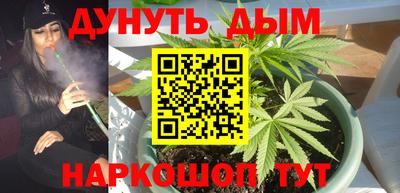 индика Гай
