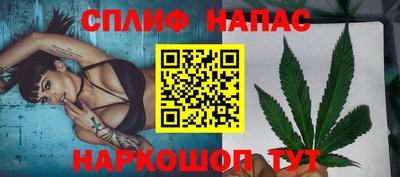 индика Гай