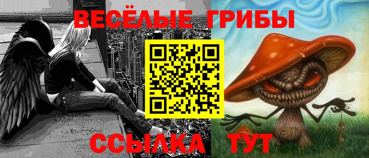 Галлюциногенные грибы мухоморы Ставрополь