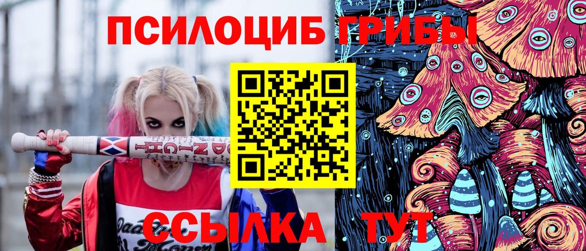 Ставрополь  купить наркоту  Вход с VPN  Псилоцибиновые грибы мухоморы 