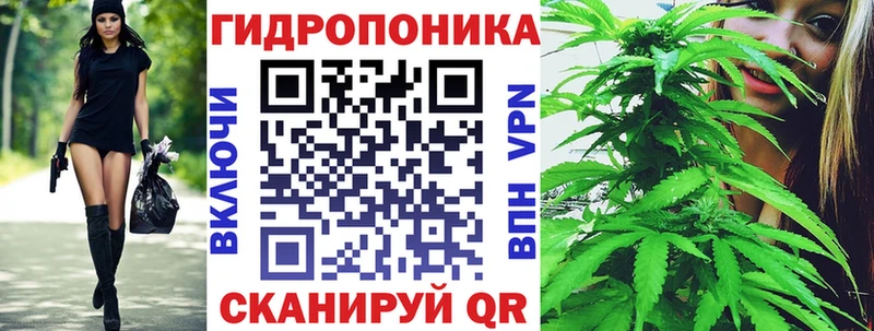 Каннабис Ganja  где купить наркоту  Ставрополь 