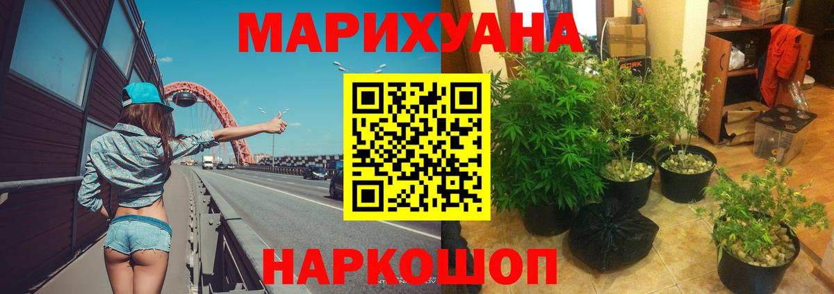 Ставрополь  Бошки Шишки план  Марихуана ГИДРОПОН  Конопля гибрид  Вход с VPN 